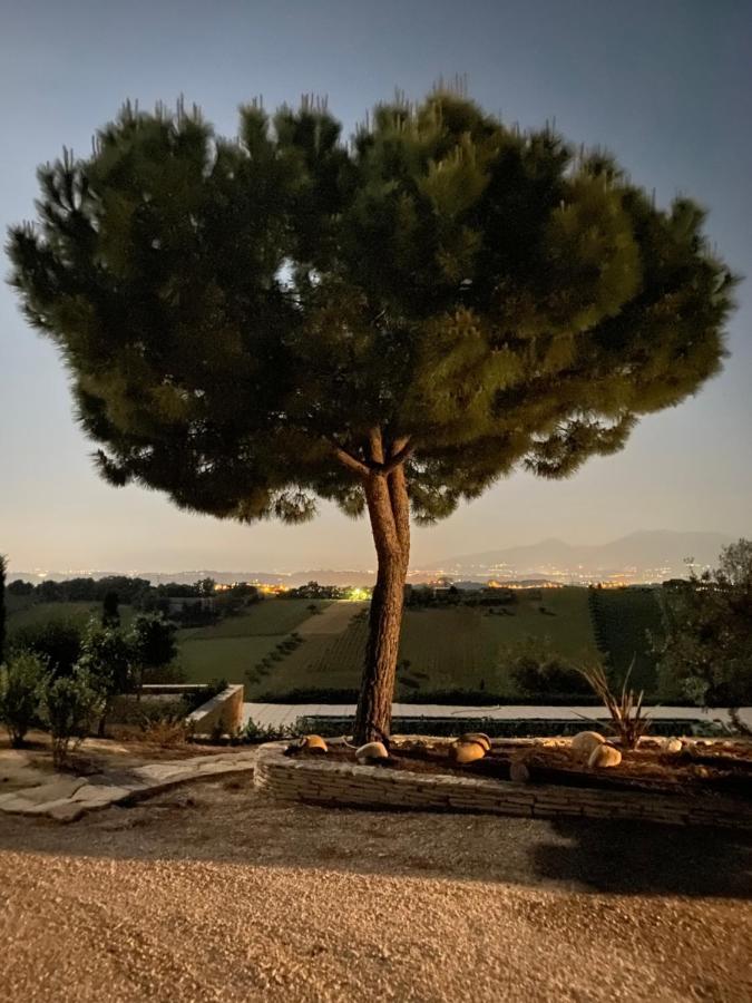 B&B Santa Caterina 阿夸维瓦皮切纳 外观 照片